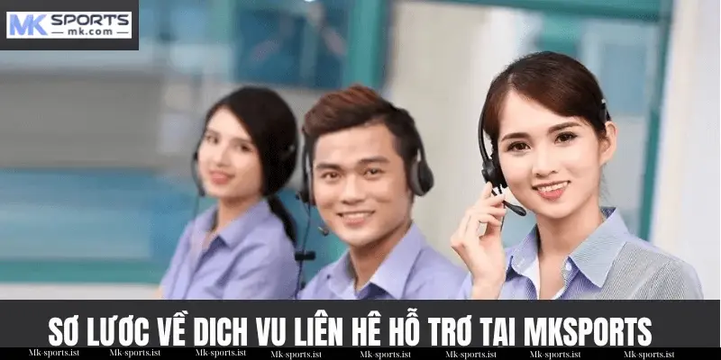 Sơ Lược Về Dịch Vụ Liên Hệ Hỗ Trợ Tại Mk Sports