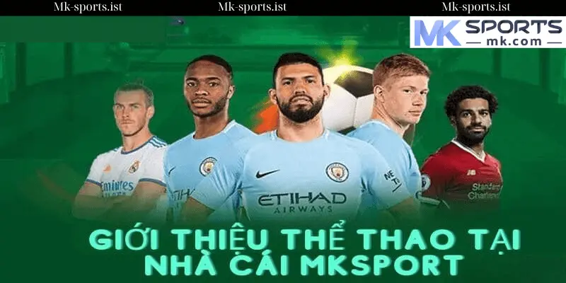 Thể Thao MK SPORTS – Điểm Đến Lý Tưởng Cho Người Yêu Cá Cược